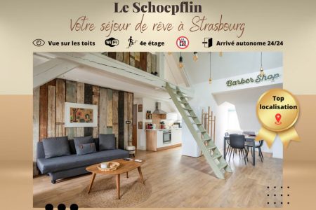 Le Schoepflin – Coeur Strasbourg-Canal-Vue toits