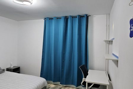 Sapphire room – Chambre au pied du lac et du métro