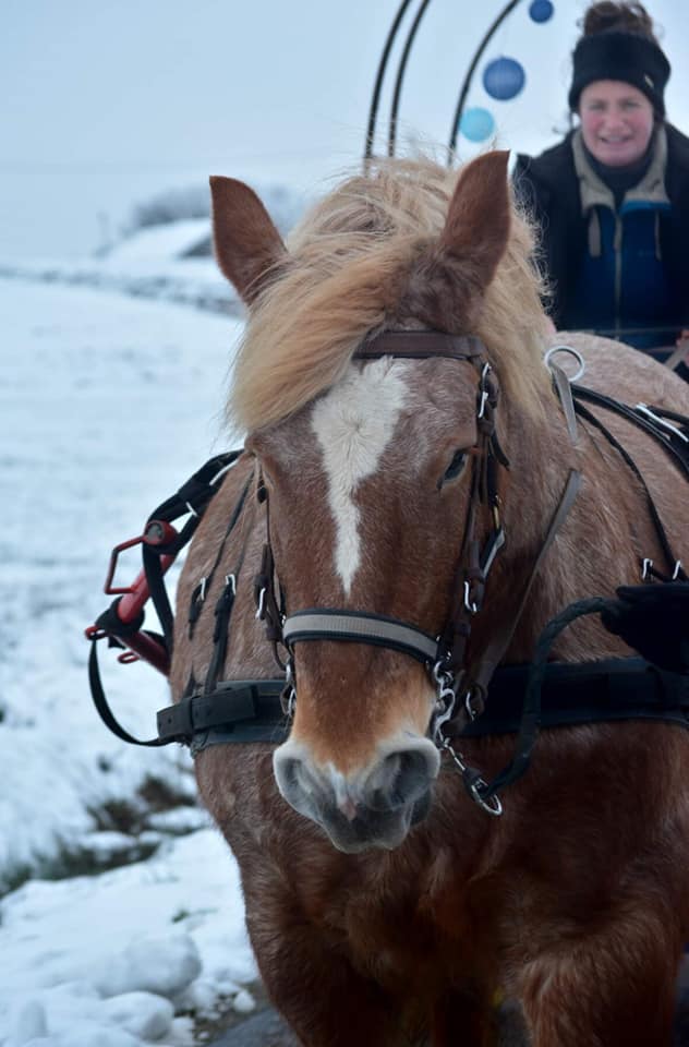 La Cavale attraction
