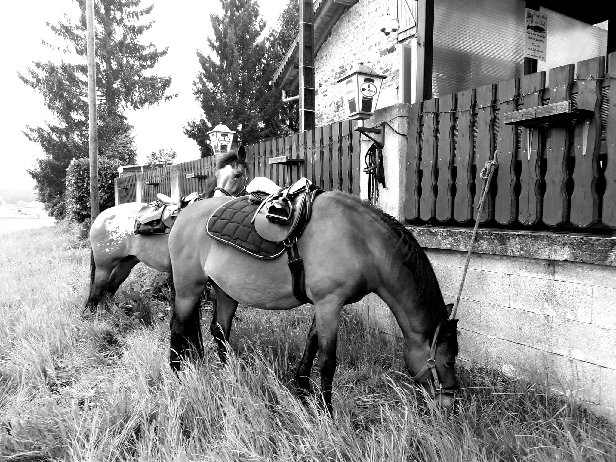 La Cavale attraction