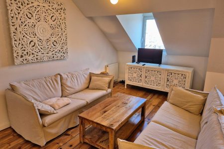Appartement familial rénové en hyper-centre de Pau