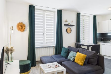 Cocon Zen – Appartement RDC proche centre Mulhouse