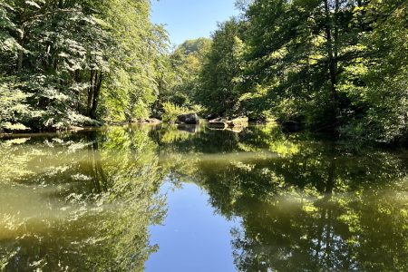 MOULIN DE RECORD Gîte au bord de la Rivière