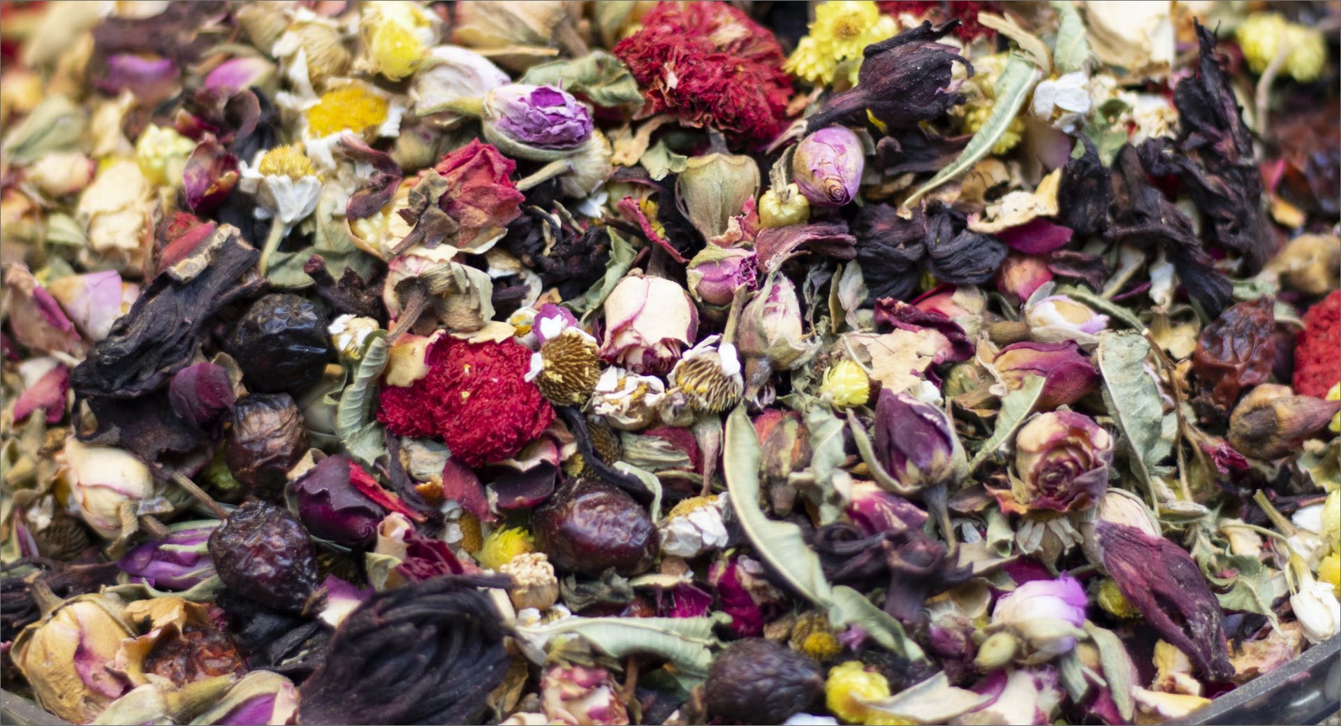 Les jardins de Bernadettes