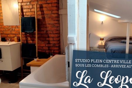 Studio centre ville Epinal /  La Leopold room / Netflix