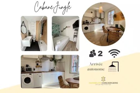 Cabane Jungle Appt 2p cosy calme Rouen fac