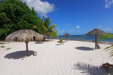 TI BONHEUR ST FRANCOIS GUADELOUPE