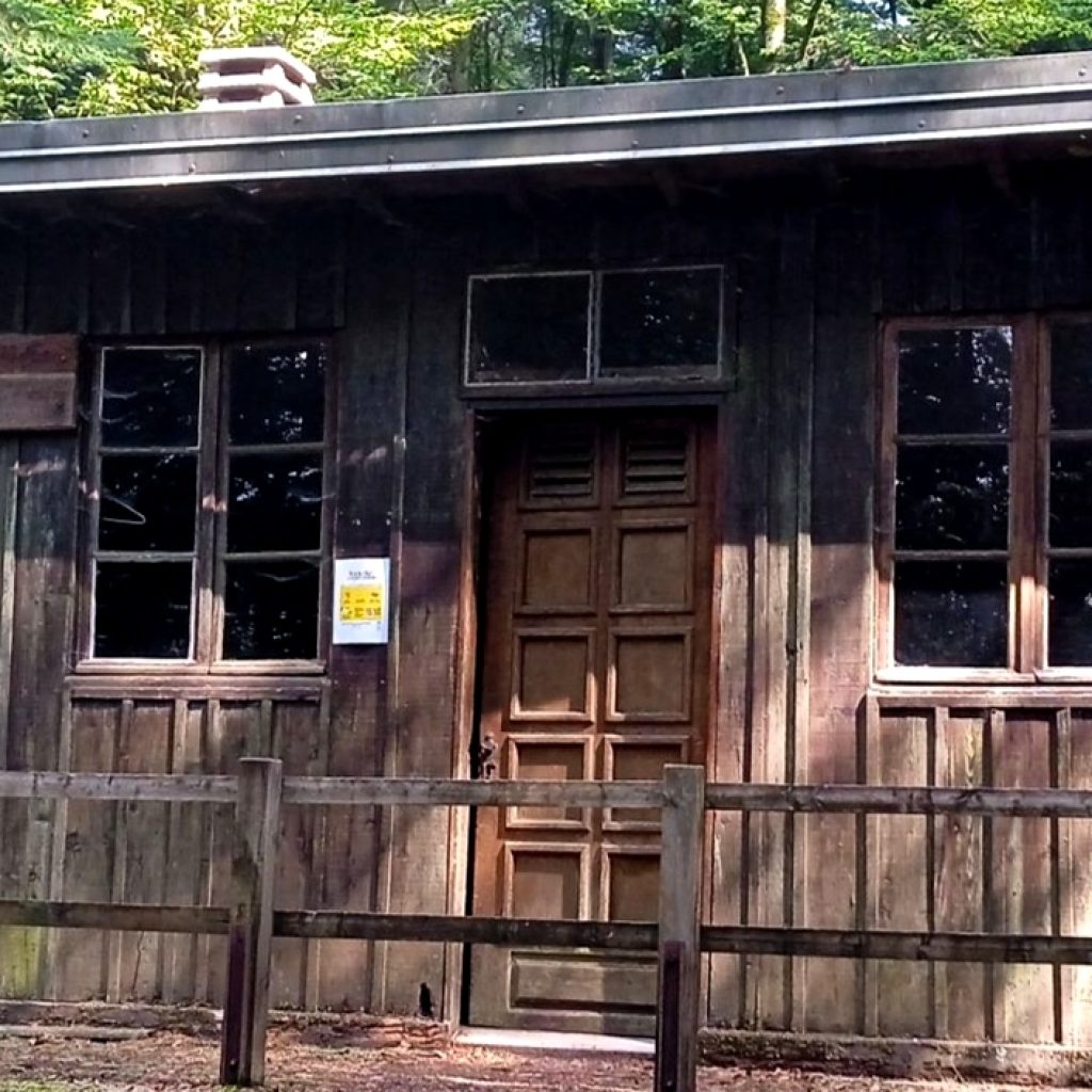 Randonnée Le tour du Haut du Mont – Le Val d&rsquo;ajol – Vosges