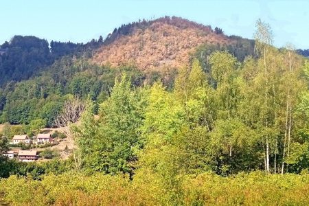 Randonnée Le tour du Haut du Mont – Le Val d&rsquo;ajol – Vosges