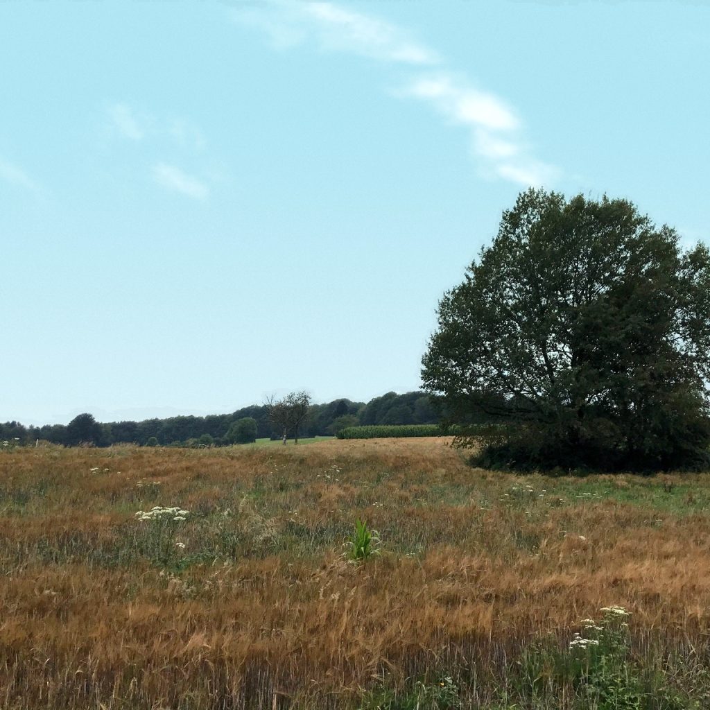 Randonnée Le tour du Haut du Mont – Le Val d&rsquo;ajol – Vosges
