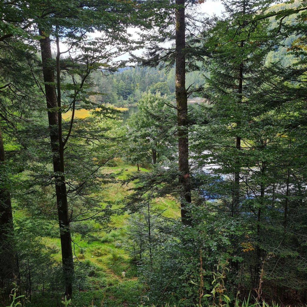 Lac de Blanchemer – La Bresse – Vosges
