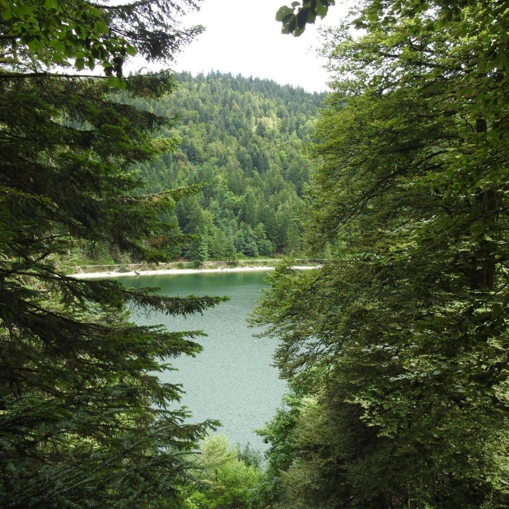Lac de Blanchemer – La Bresse – Vosges