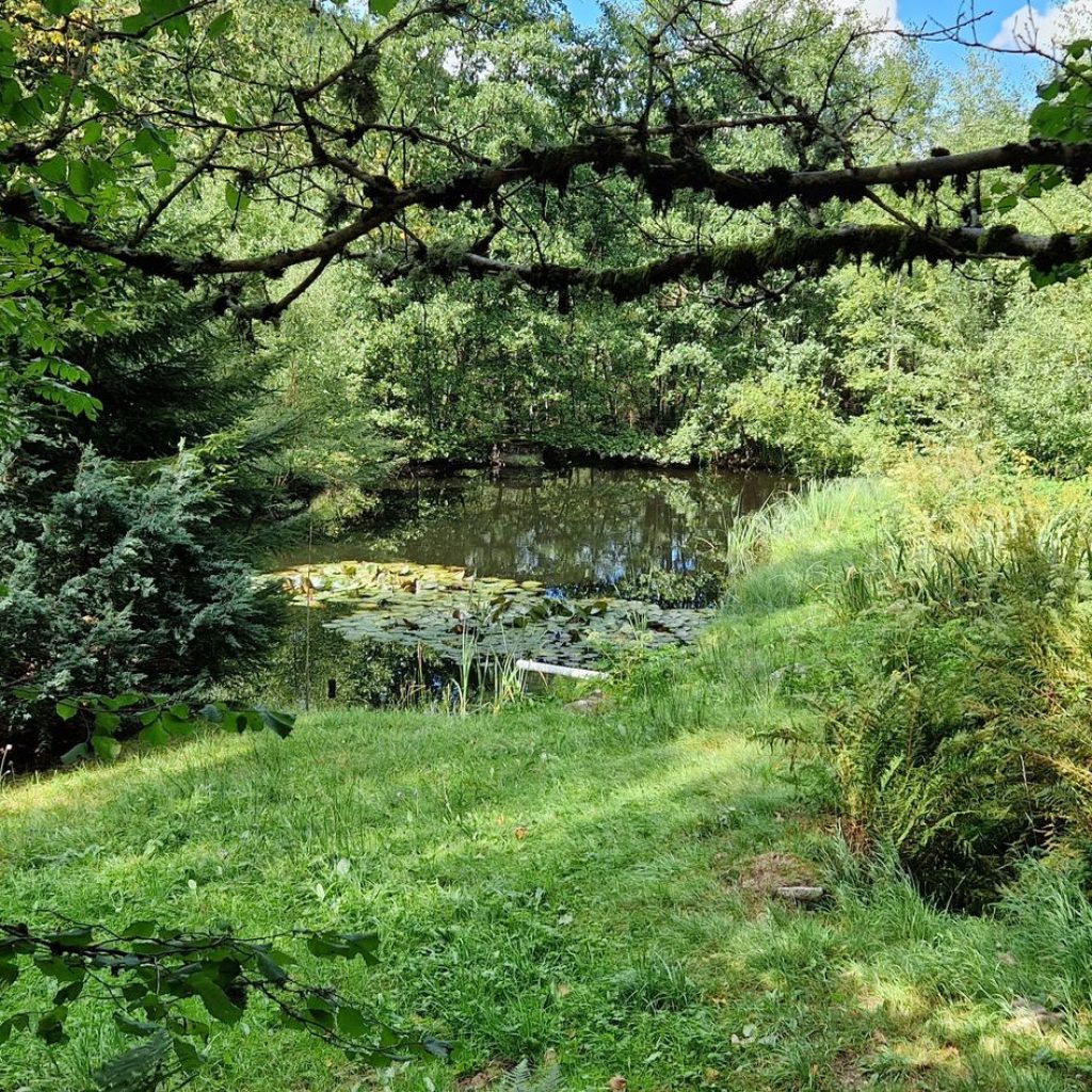 Cascades de Tendon