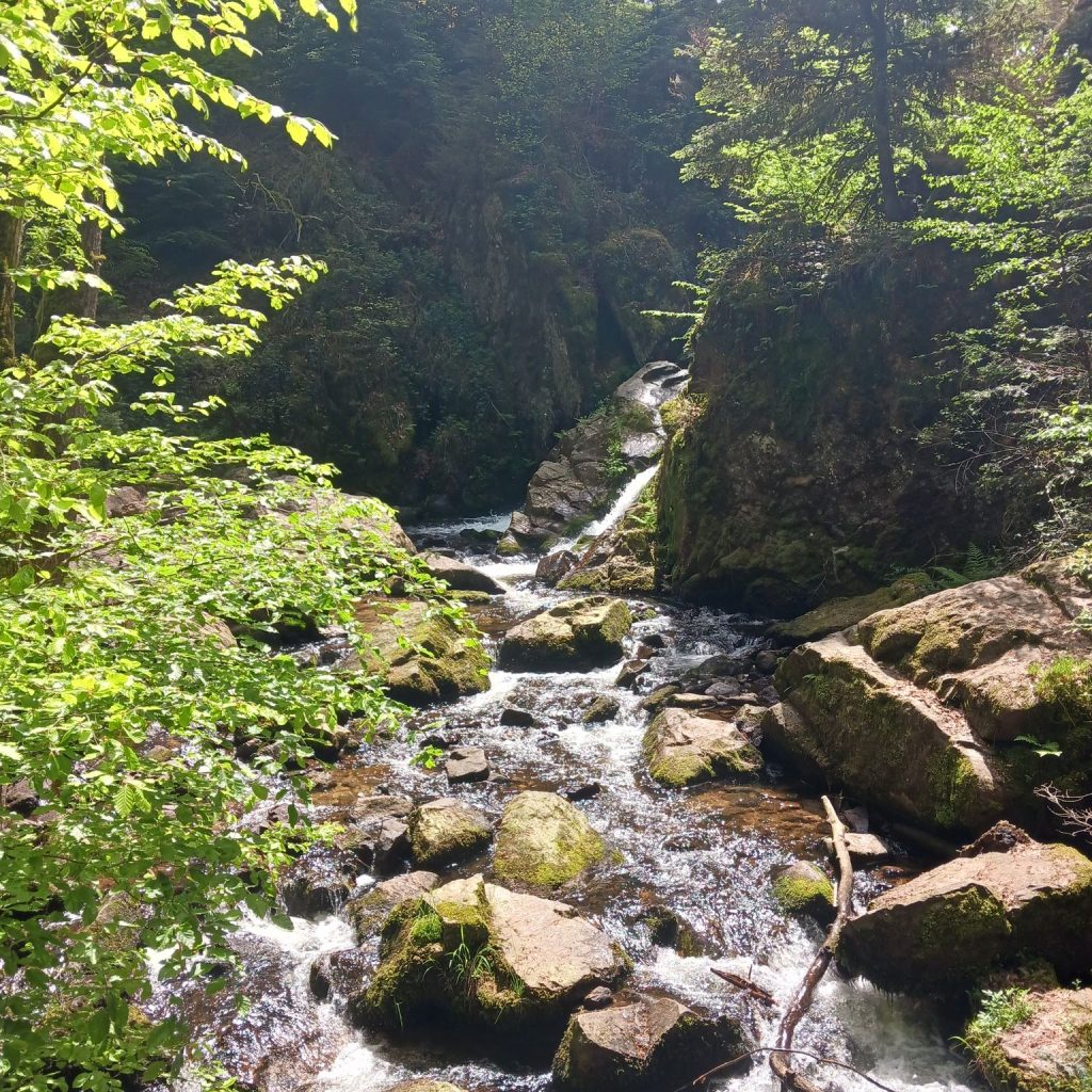 Cascades de Tendon