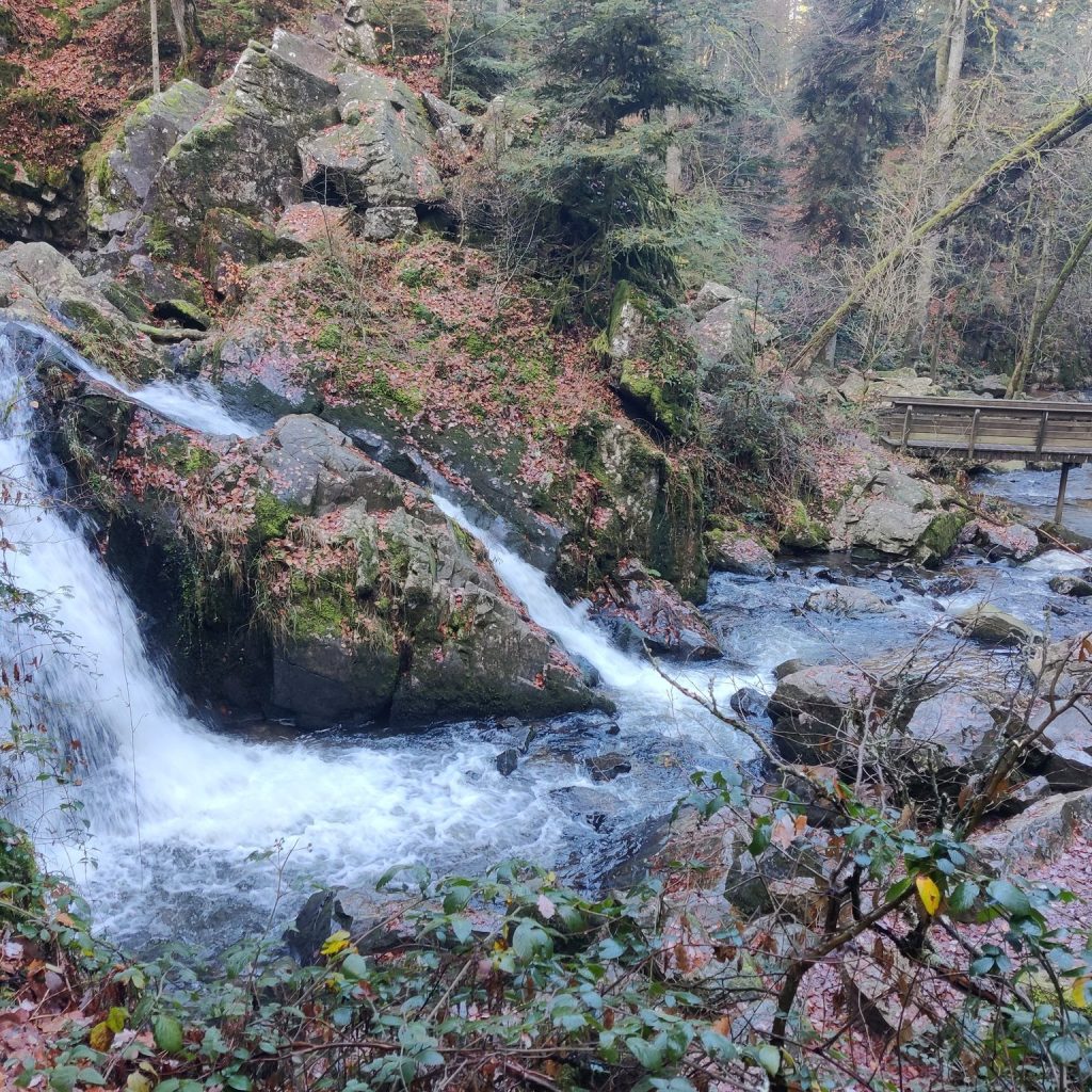 Cascades de Tendon