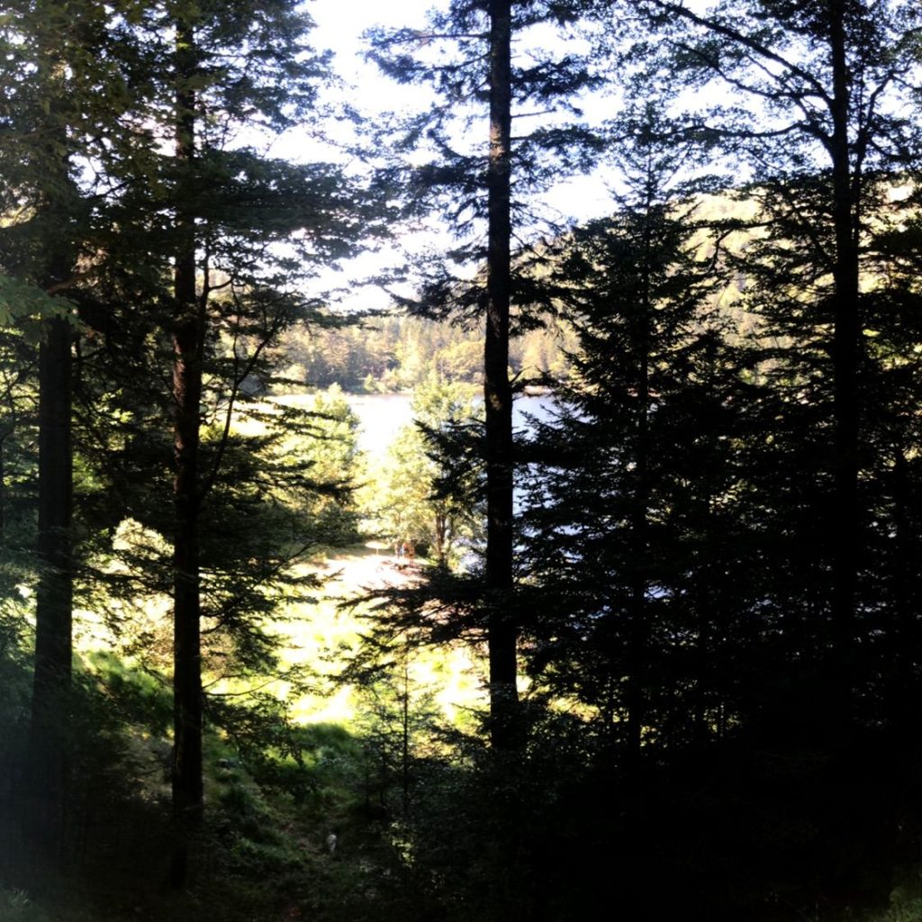 Lac de Blanchemer – La Bresse – Vosges