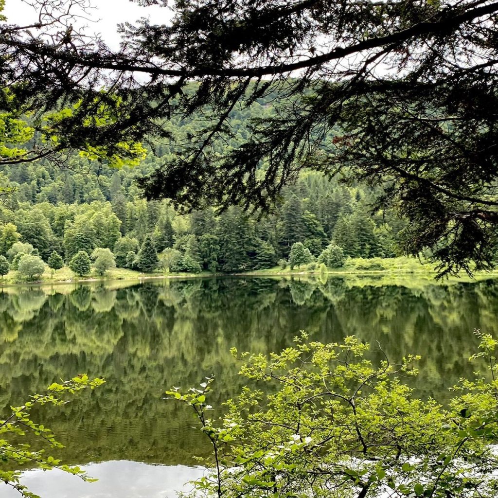 Lac de Blanchemer – La Bresse – Vosges