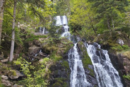 Cascades de Tendon