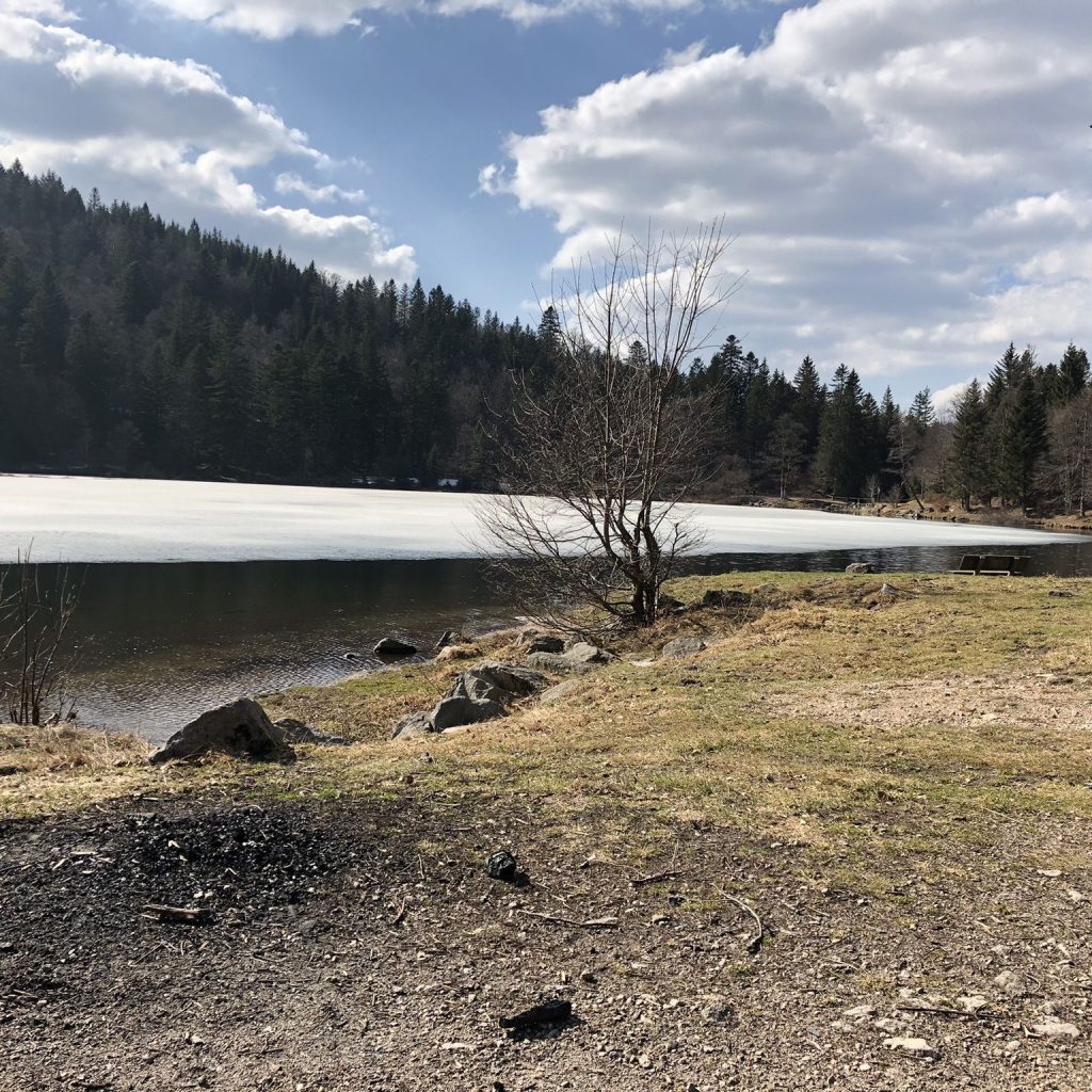 Lac de Blanchemer – La Bresse – Vosges