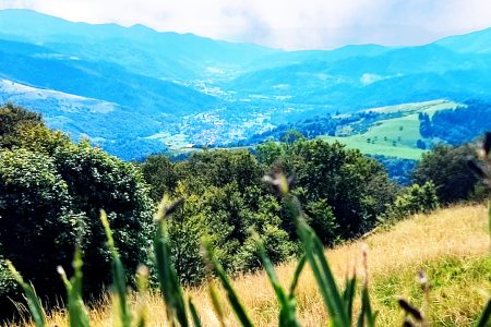 La chaume du Felsach et la foret du Rupt Fourchu