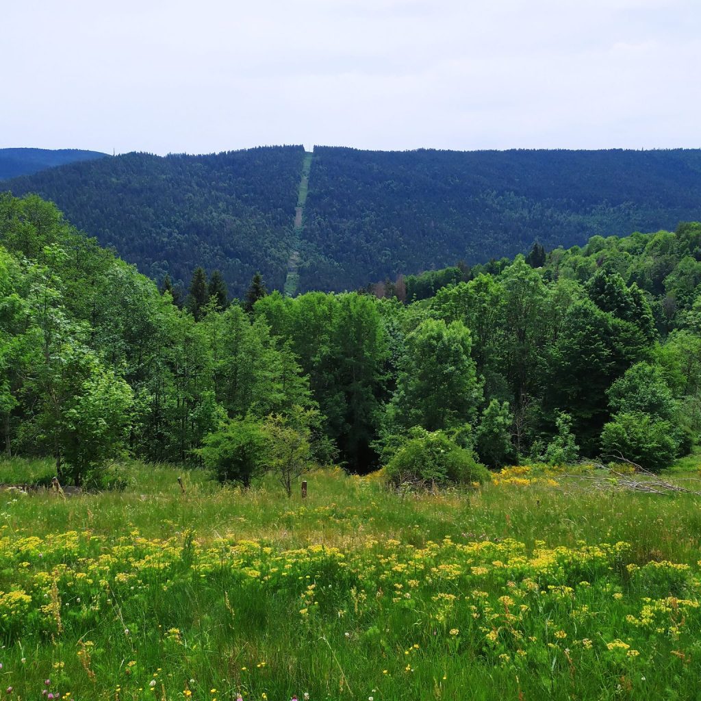 Randonnée Vosges – circuit du col de Lauvi