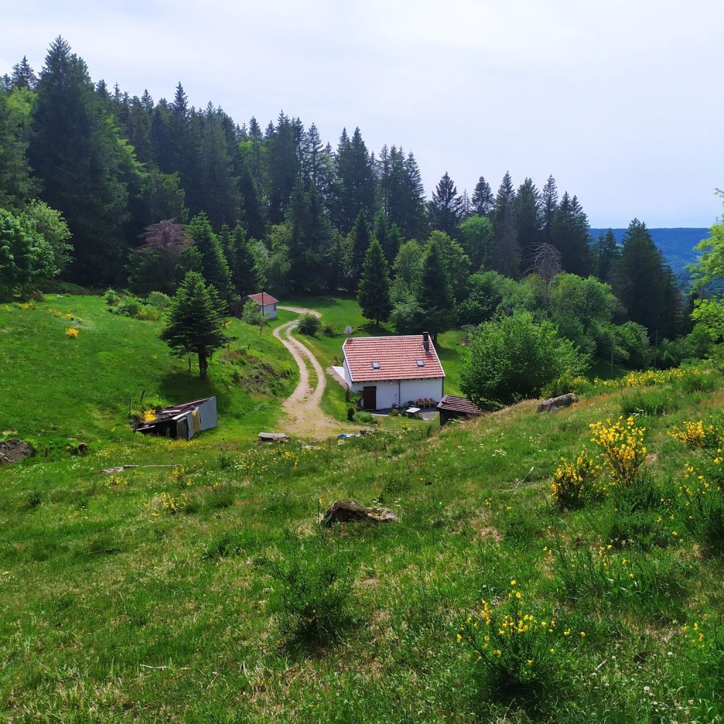 Randonnée Vosges – circuit du col de Lauvi