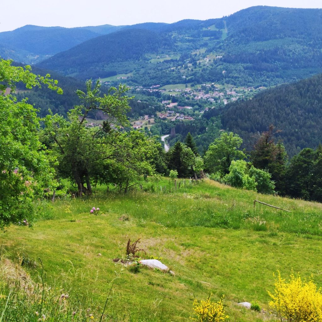 Randonnée Vosges – circuit du col de Lauvi