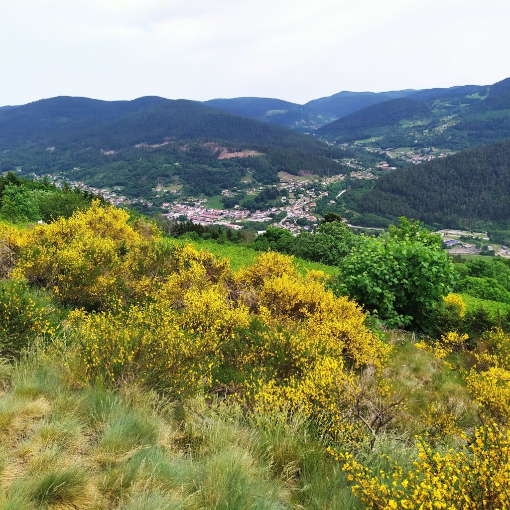 Randonnée Vosges – circuit du col de Lauvi