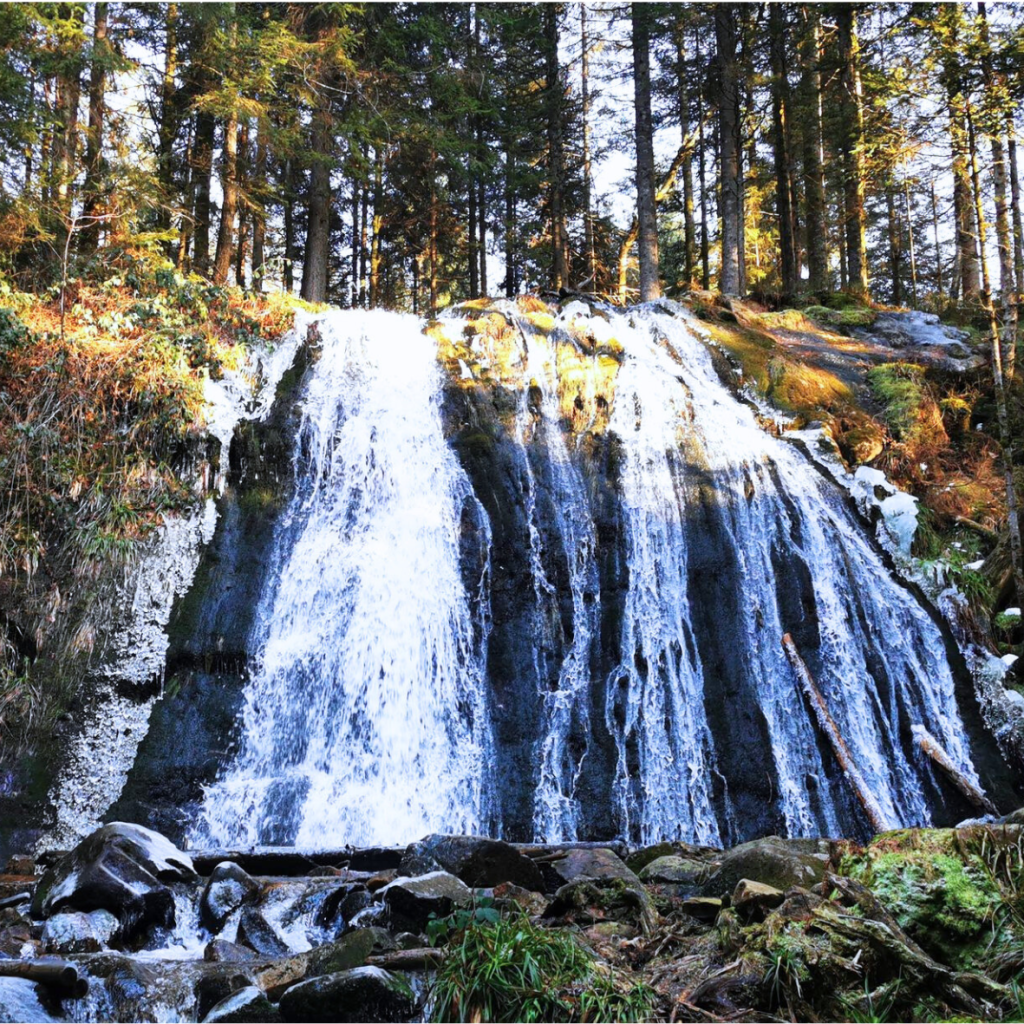 Le Haut du tôt – cascade la Pissoire – Moyemont