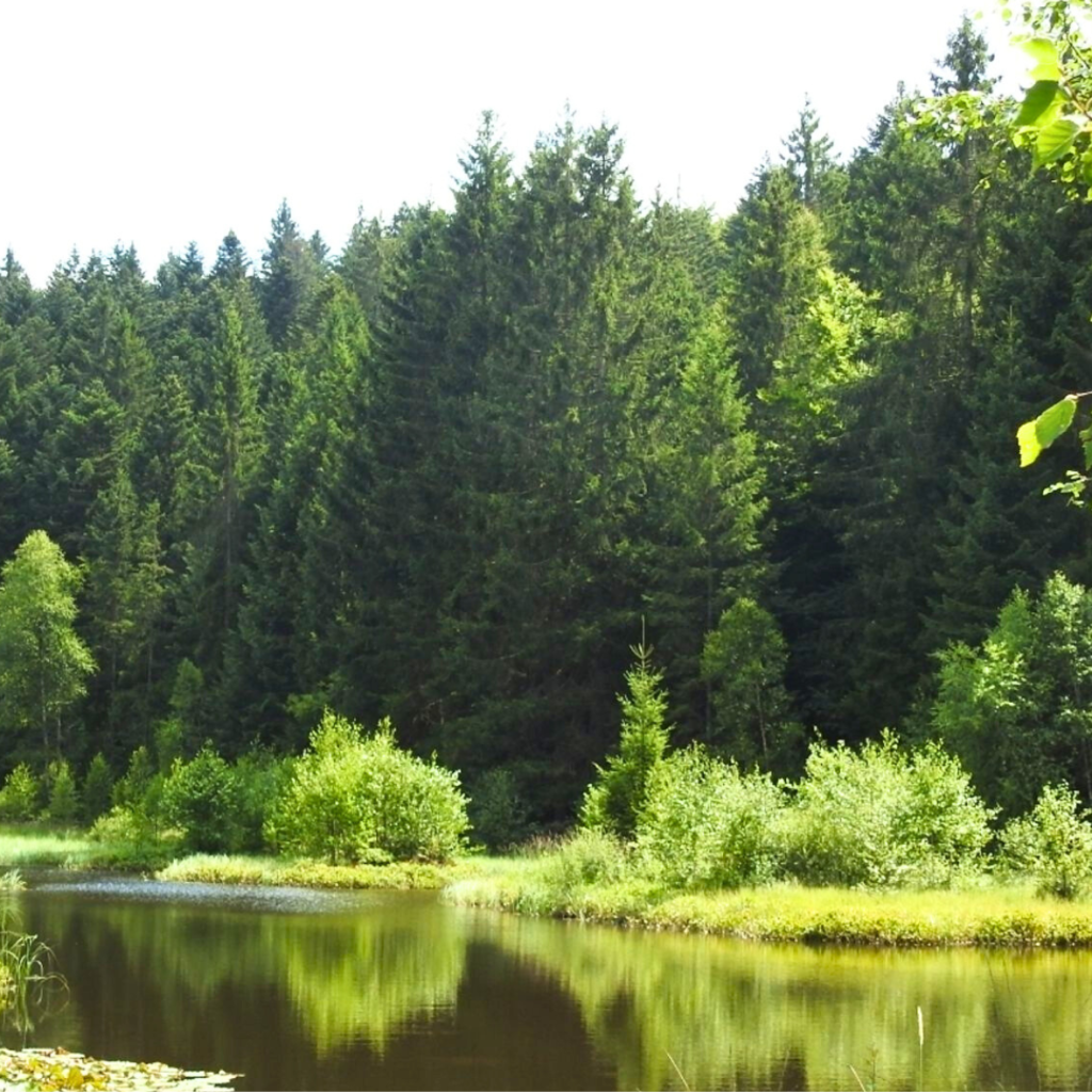Le Haut du tôt – cascade la Pissoire – Moyemont