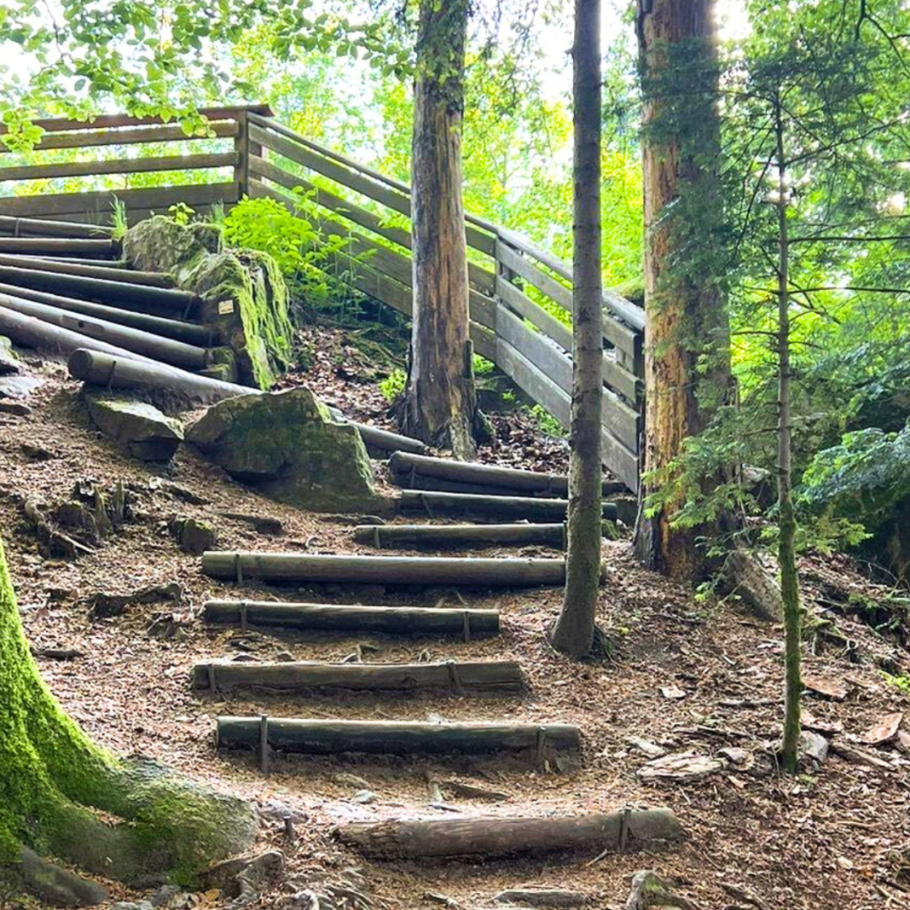 Sentier botanique de Thiefosse & Gorges du Crosery