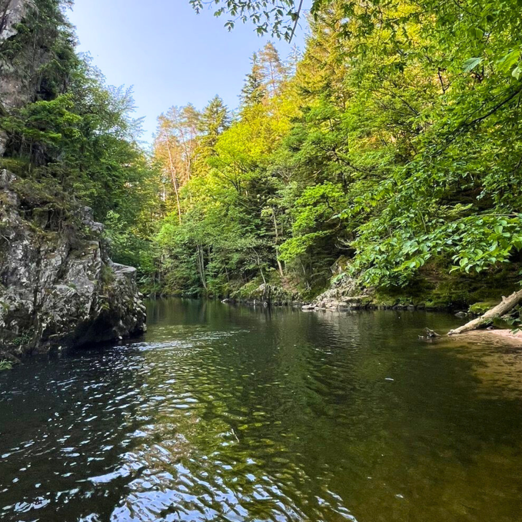 Sentier botanique de Thiefosse & Gorges du Crosery