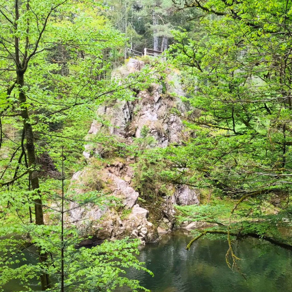 Sentier botanique de Thiefosse & Gorges du Crosery
