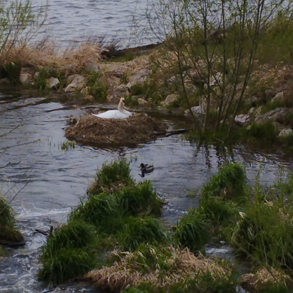 Lac de Bouzey – Chaumousey