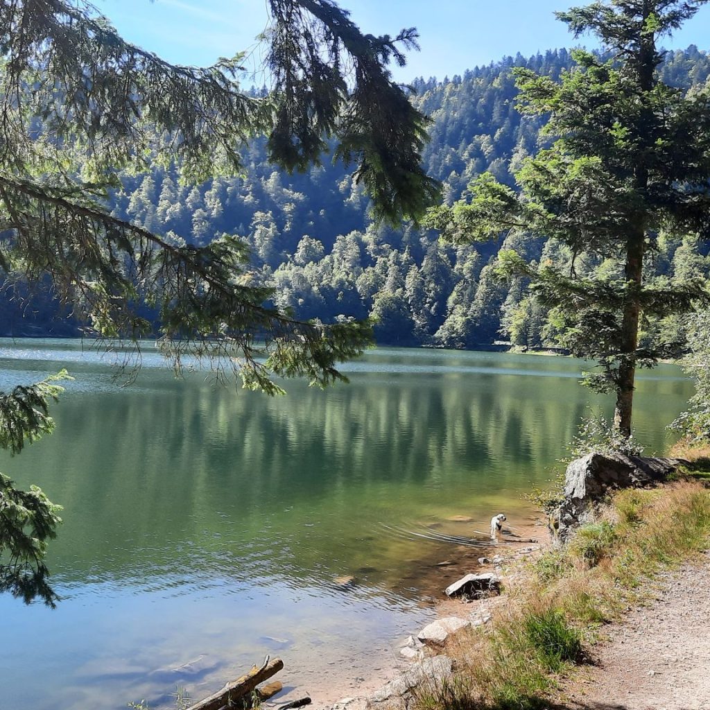 Lac des Corbeaux – Étang de Sèchemer
