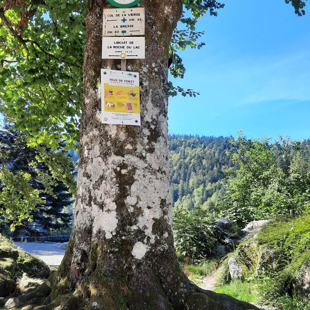 Lac des Corbeaux – Étang de Sèchemer