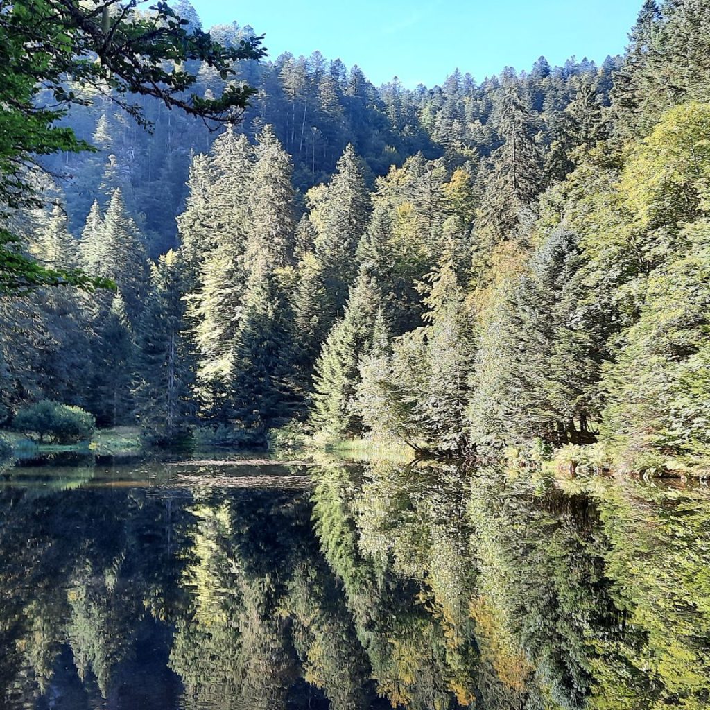 Lac des Corbeaux – Étang de Sèchemer