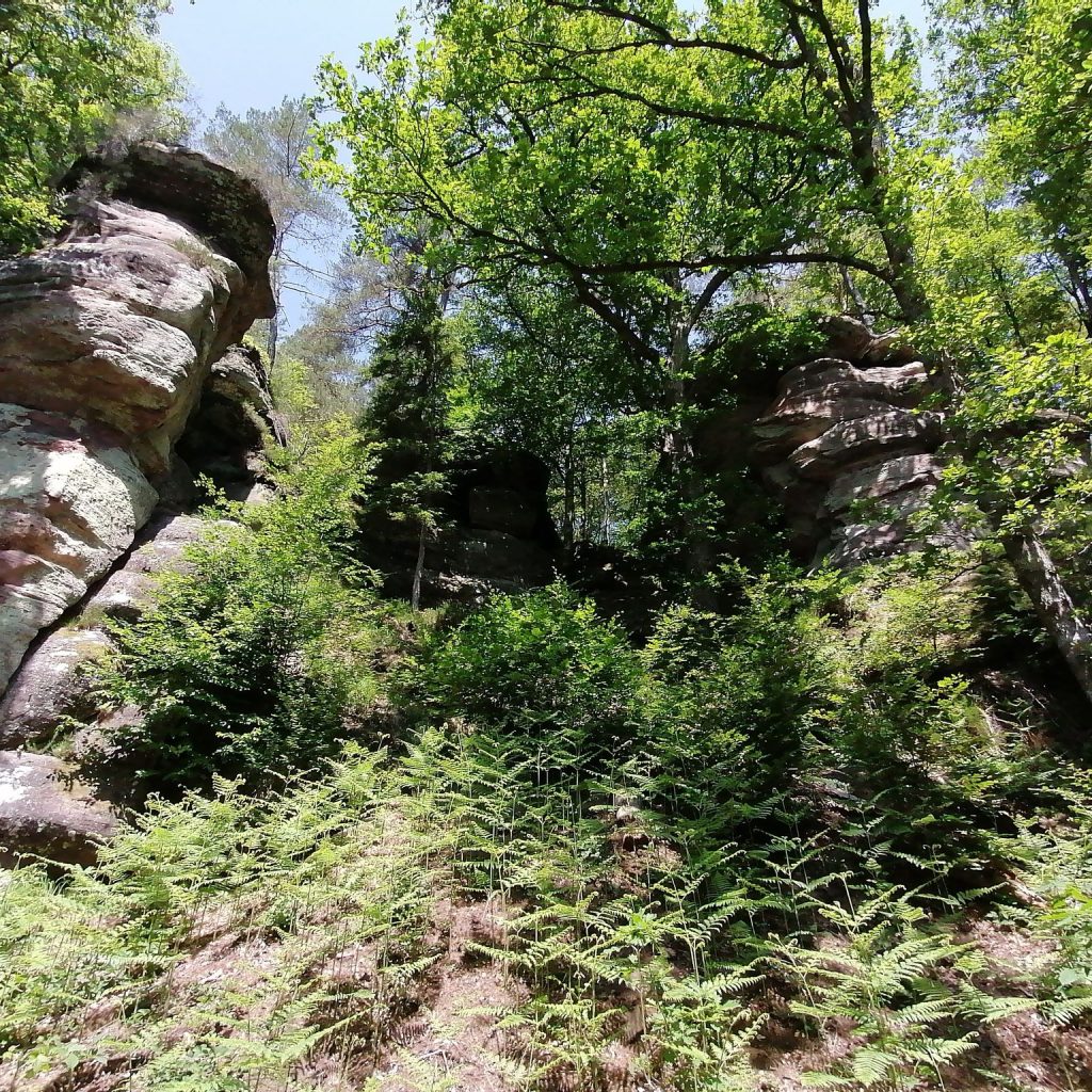 Les Roches d&rsquo;Olima – Chantraine