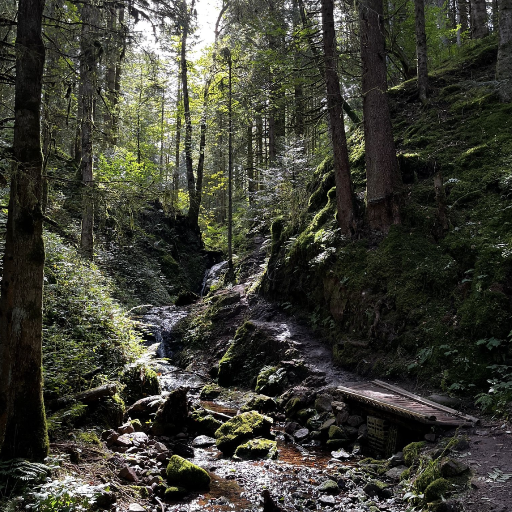 Saut de la Bourrique