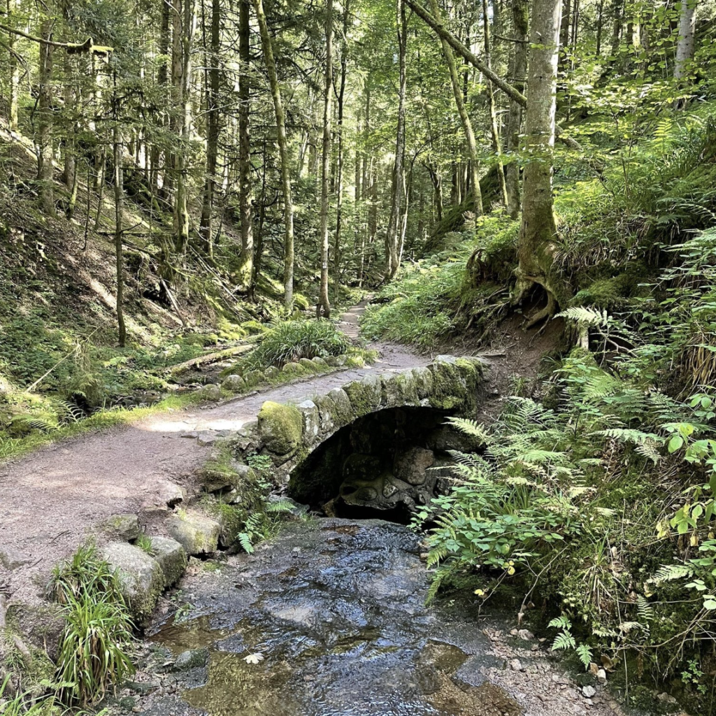 Saut de la Bourrique