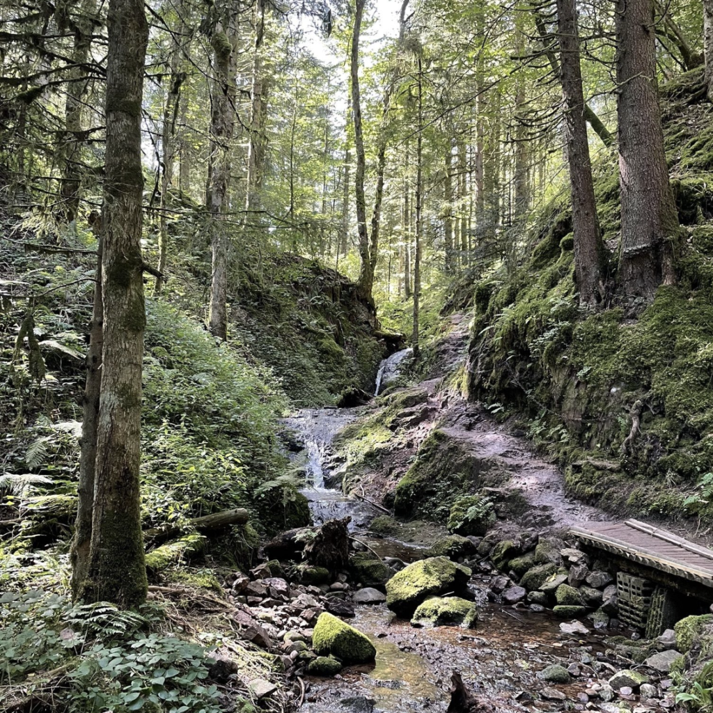 Saut de la Bourrique