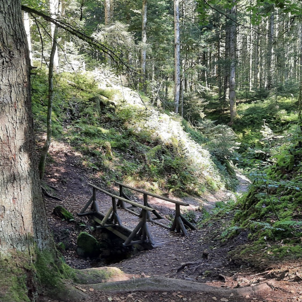 Saut de la Bourrique