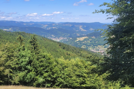 Le Tour du Schnepfenried