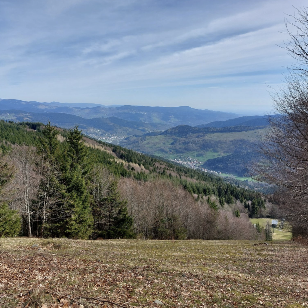Le Tour du Schnepfenried