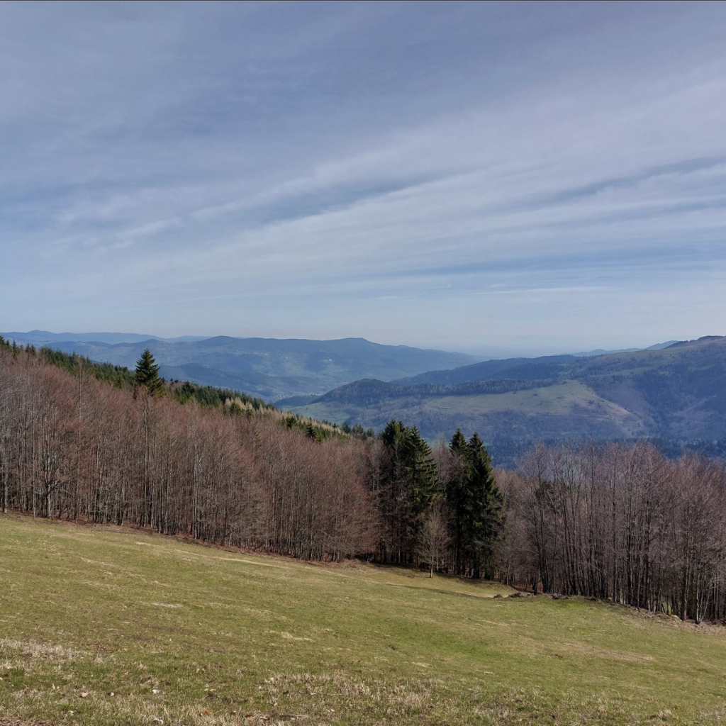 Le Tour du Schnepfenried
