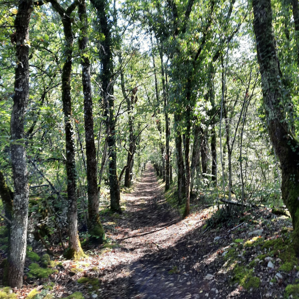 Boucle des Bories de Tourtoirac