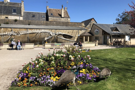 Parc de la Baleine