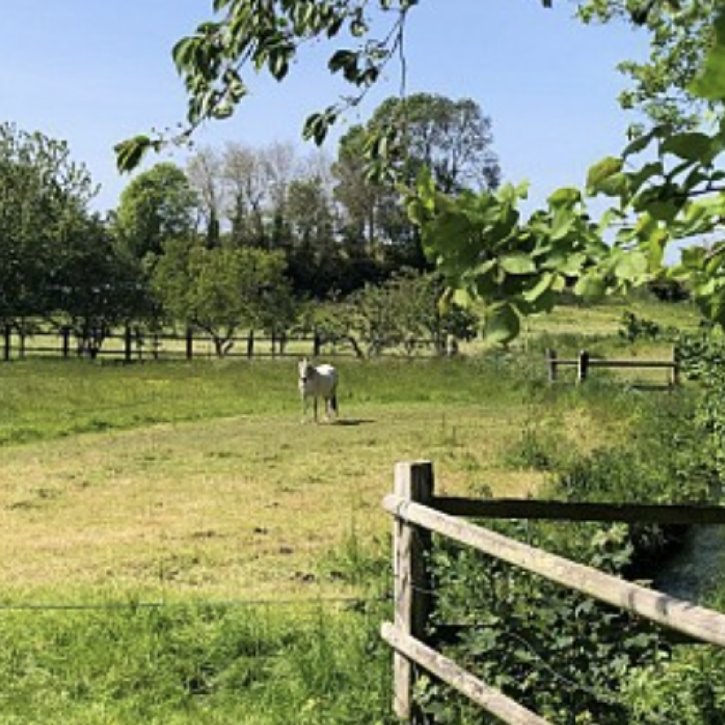 Balade « La Capricieuse »