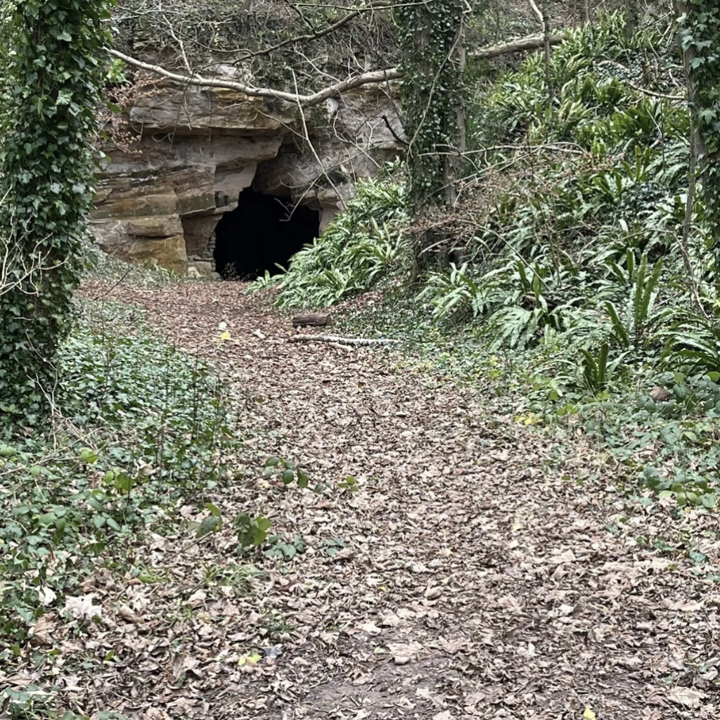Explorez la plaine du village de Reviers