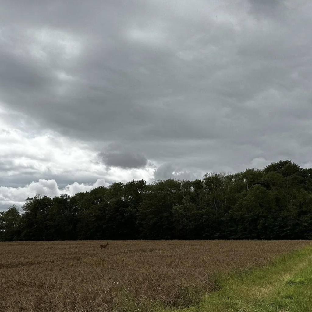 Explorez la plaine du village de Reviers